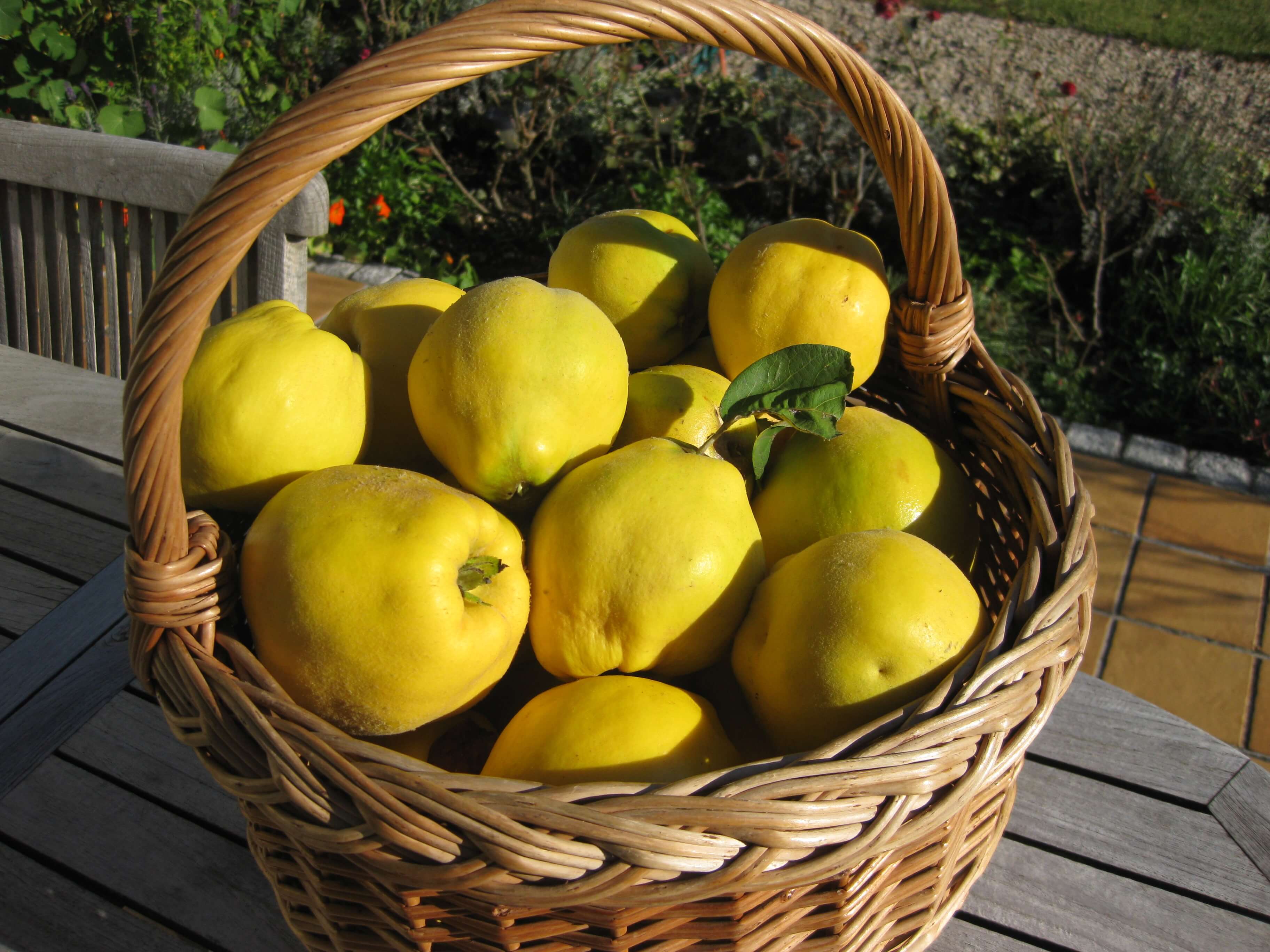 میوه به