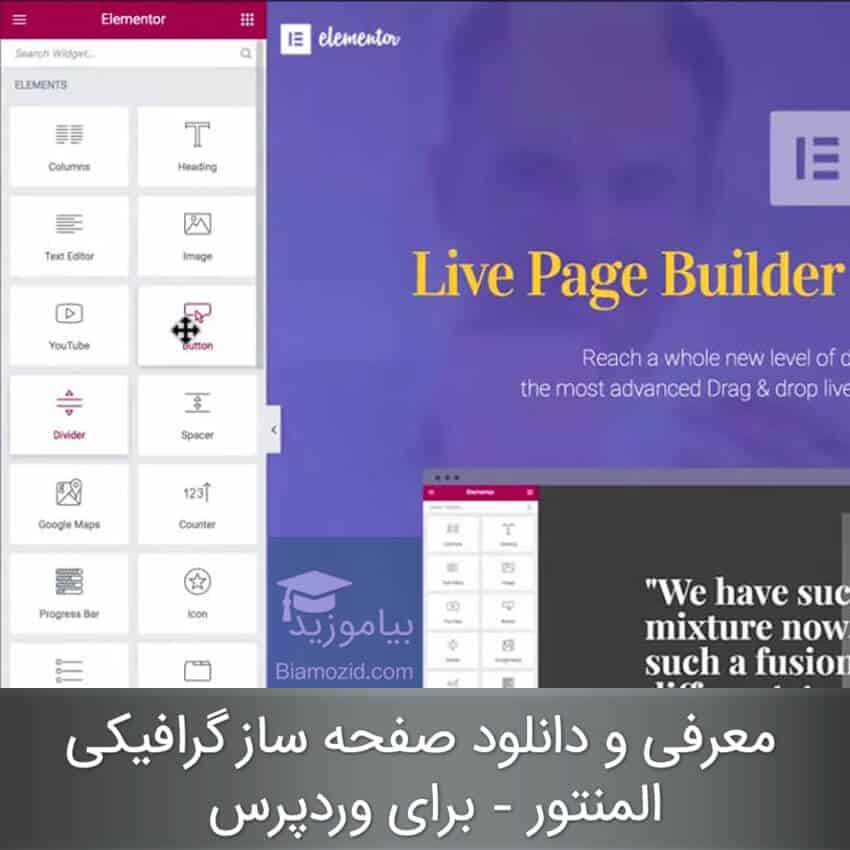Elementor Page Builder pro