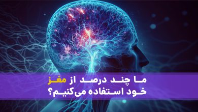 ما چند درصد از مغز خود استفاده می‌ کنیم؟