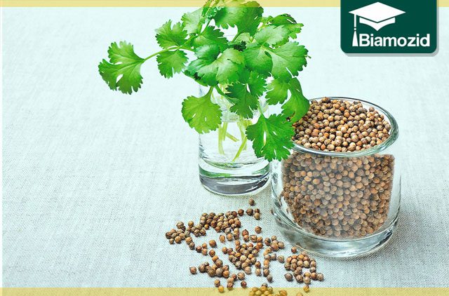 چگونه با این 18 خوراکی مصرف نمک را کاهش دهیم؟ مصرف نمک