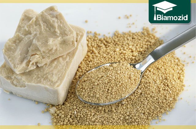 چگونه با این 18 خوراکی مصرف نمک را کاهش دهیم؟ مصرف نمک